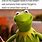Kermit Life Memes
