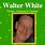 Save Walter White