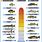 Water Temperature Fishing Chart