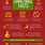 10 Interesting Facts About Christmas