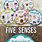 5 Senses Activities for Infants