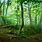 8K Green Nature Wallpaper