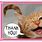 A Cat Saying Thank You