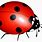 A Ladybug Cartoon