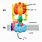 ATPase Structure