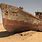 Abandoned Ships in Desert