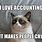 Accounting Cat Meme