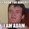 Adam MEMS