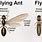 Adult Flying Ants vs Termites
