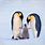 Adult and Baby Penguin