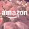 Aesthetic Amazon Icon
