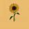 Aesthetic Yellow Sunflower Drawing