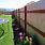 Affordable Privacy Fence Ideas