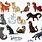 All the Warrior Cats