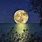 Amazing Moon Pictures