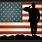 American Flag Veteran Shadow