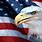 American Flag and Eagle Wallpaper