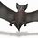 Animal Bat Replica