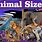 Animal Size Chart