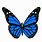 Animated Butterfly Graphics