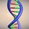 Animated Double Helix DNA
