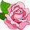 Animated Pink Rose Flower