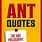 Ant Sayings