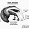 Anteater Diagram