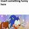AoStH Sonic Meme