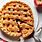 Apple Dry Cranberry Pie