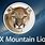 Apple Mountain Lion OS