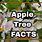 Apple Tree Facts