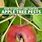 Apple Tree Pests