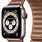 Apple Watch 7 Titanium