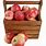 Apples in Basket PNG