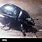 Armored Beetle