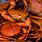 Atlantic Red Crab