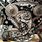 Audi A4 Timing Chain Replacement