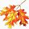 Autumn Clip Art