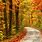 Autumn Landscape Nature Photography