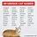 Awesome Cat Names