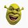 Back of Shrek Head