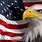 Bald Eagle American Flag Background