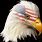 Bald Eagle Head Flag