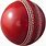 Ball of Cricket
