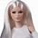 Barbie Doll White Hair