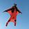 Base Jumping Flying Suit