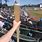 Baseball Bat Beer