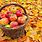 Basket of Fall Apples