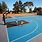 Basketball Court Tiles